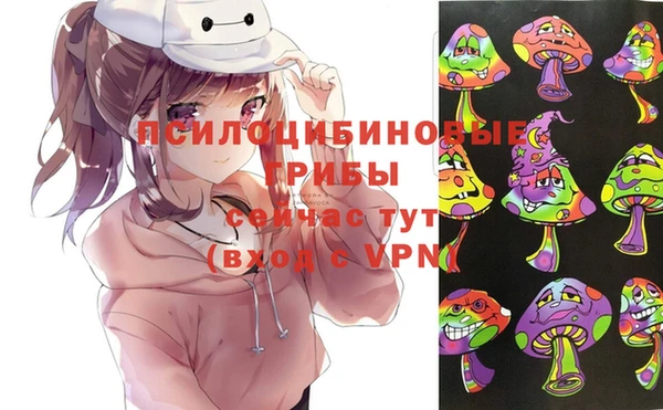 PSILOCYBIN Абдулино