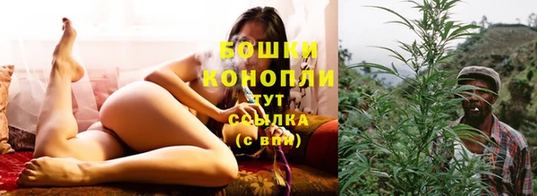 PSILOCYBIN Абдулино